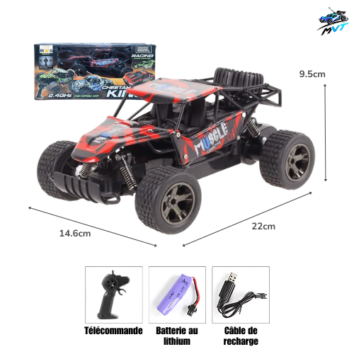 Grosse voiture radiocommandée shop